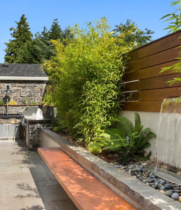 Fall & Spring Cleanups