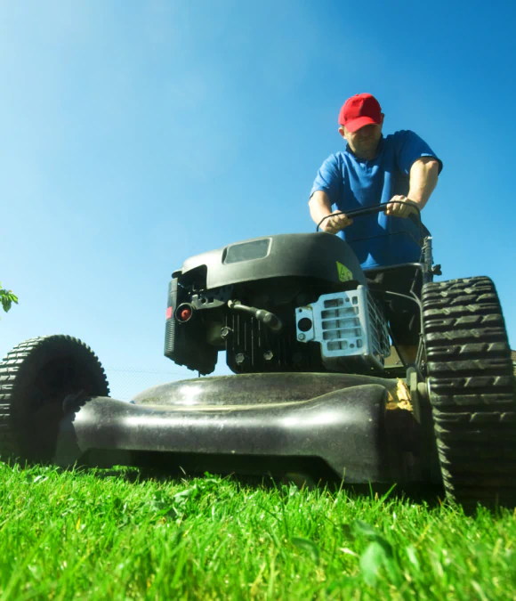 Lawn Maintenance