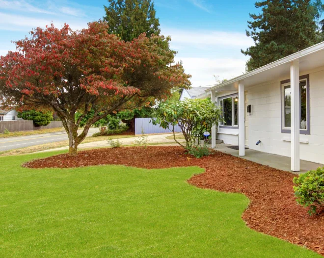 higher ground irrigation c