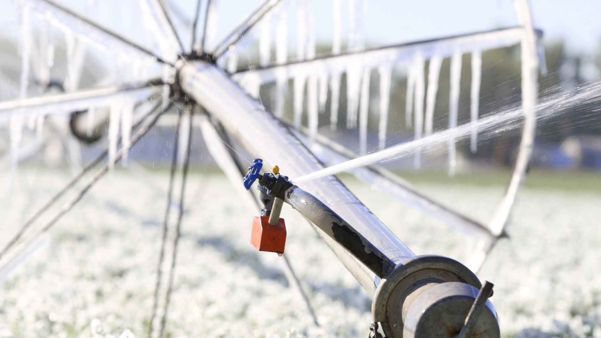 sprinkler winterization 2